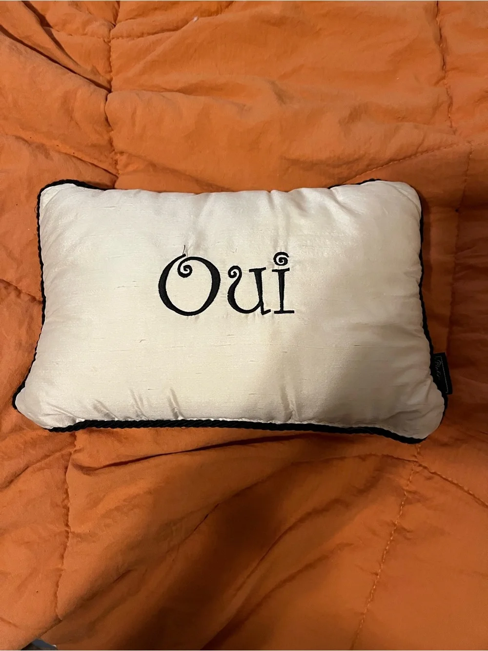 Vintage French-Inspired Pillow Trio | Paris, Oui & Heraldic Crest | Fringe